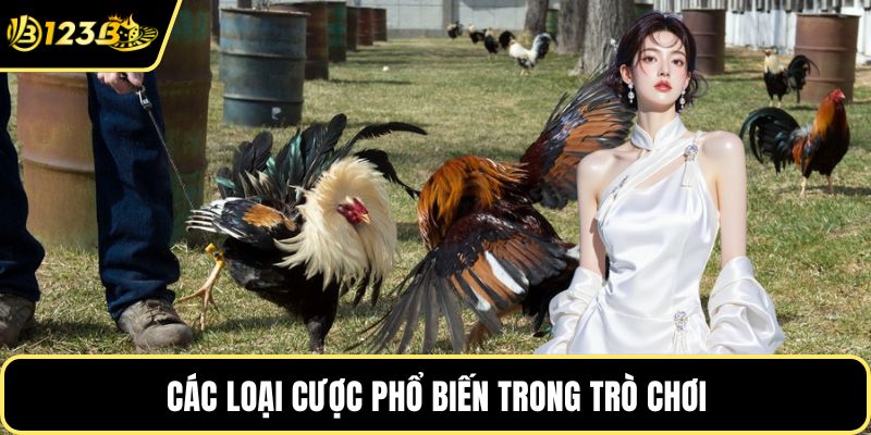 Các loại cược phổ biến trong trò chơi