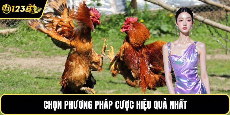 Chọn phương pháp cược hiệu quả nhất