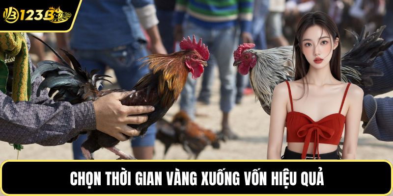 Chọn thời gian vàng xuống vốn hiệu quả