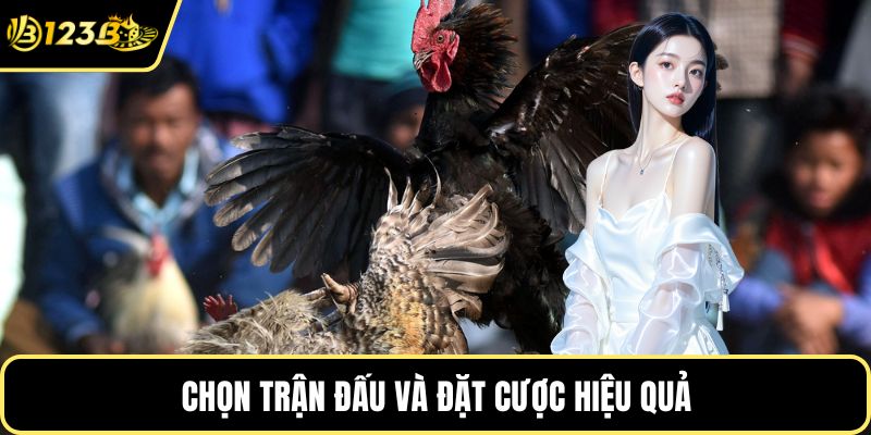 Chọn trận đấu và đặt cược hiệu quả