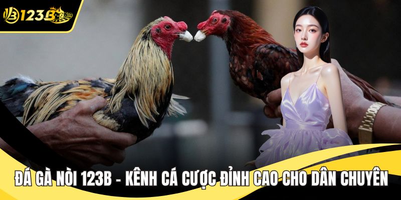 Đá gà nòi 123B