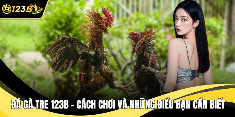 Đá gà tre 123B