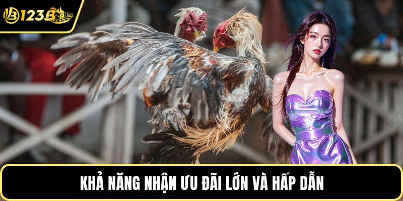 Khả năng nhận ưu đãi lớn và hấp dẫn
