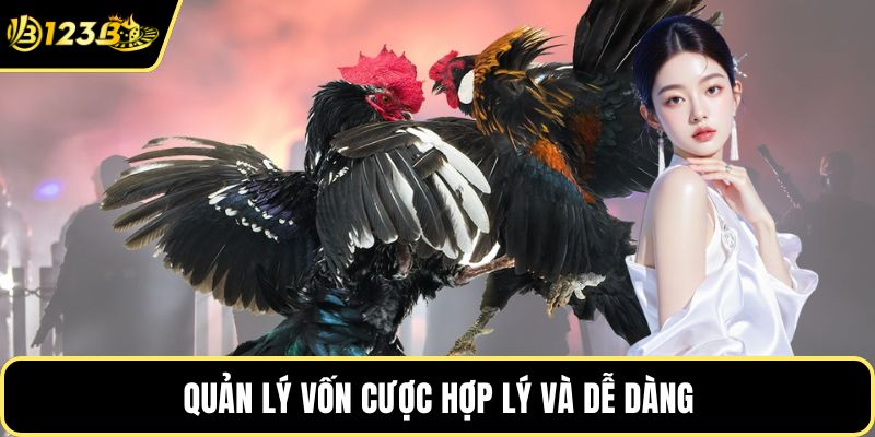 Quản lý vốn cược hợp lý và dễ dàng