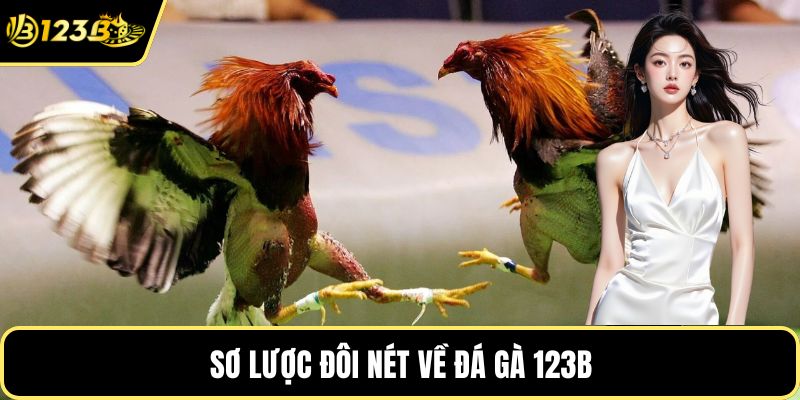 Sơ lược đôi nét về đá gà 123B
