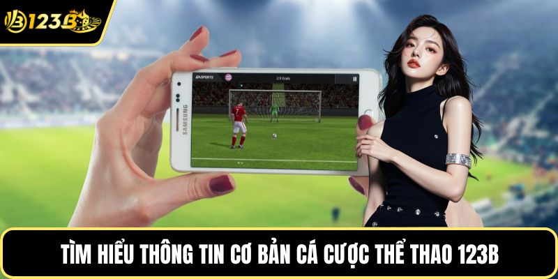 Tìm hiểu thông tin cơ bản cá cược thể thao 123B