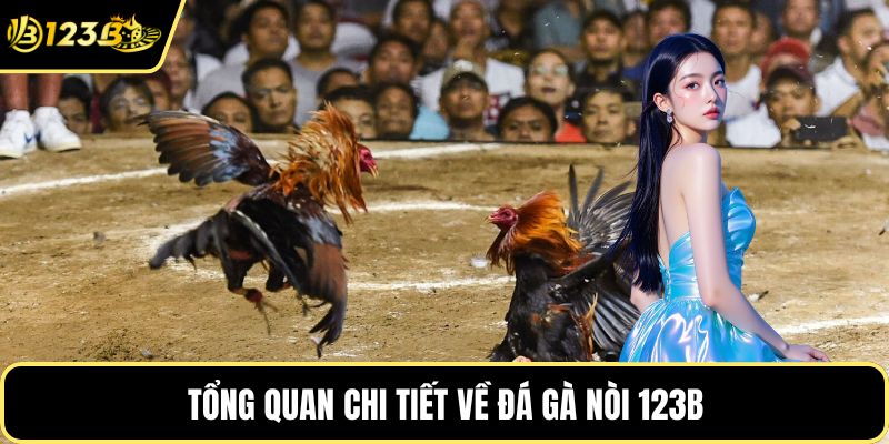 Tổng quan chi tiết về đá gà nòi 123B