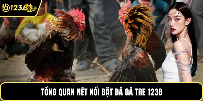 Tổng quan nét nổi bật đá gà tre 123B